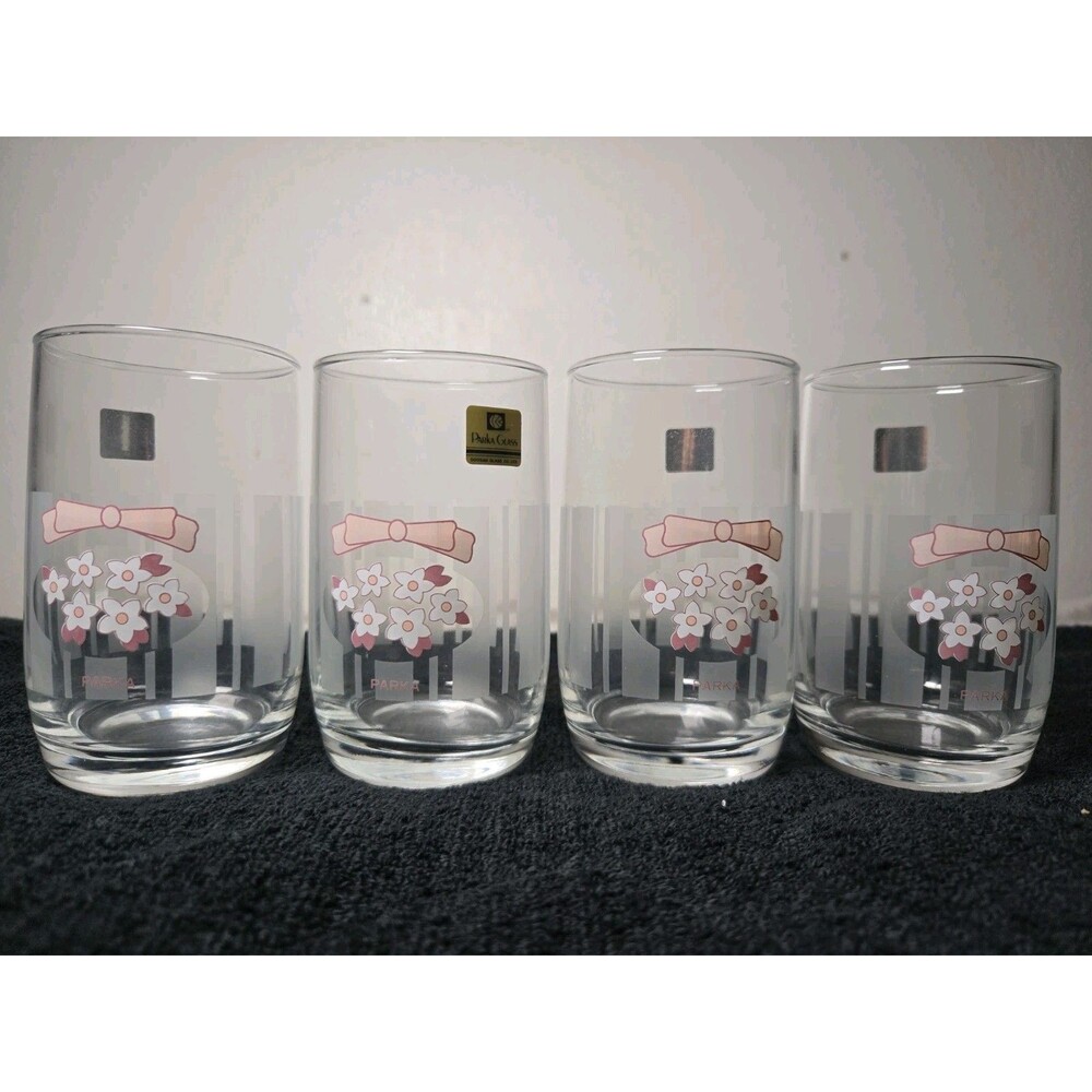 Vintage Japanese Parka Glass - Retro Kawaii Cottagecore Glassware (Set of 4)
